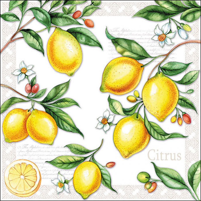 Ambiente Citrus Servetten - 25 cm x 25 cm