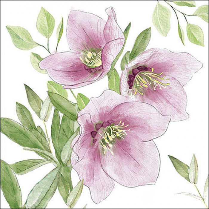 Ambiente Classic Helleborus Servetten - 33 cm x 33 cm