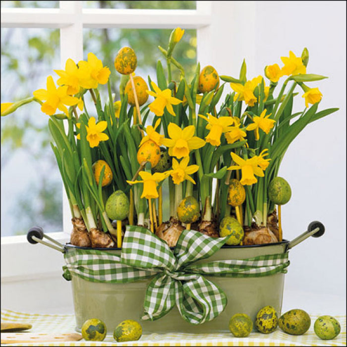 Ambiente Daffodils Servetten - 33 cm x 33 cm (kopie)