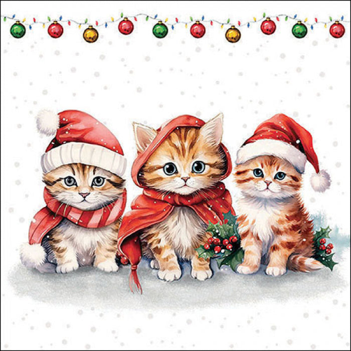 Ambiente Funny Cute Kittens Servetten - 33 cm x 33 cm