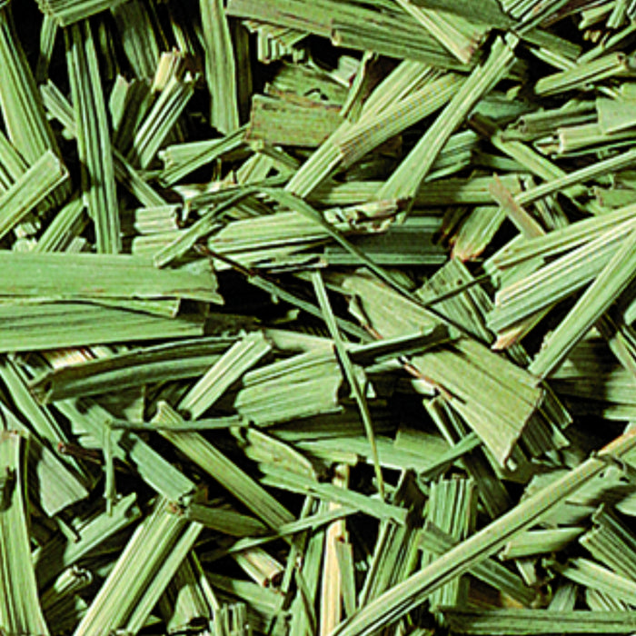 Citroengras - Kruidenthee - Thailand - 100 gram