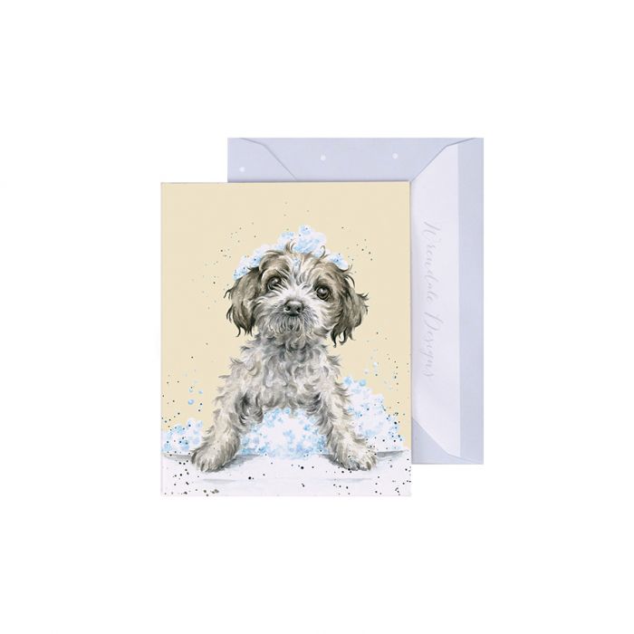 Wrendale Designs Birthday Bubbles Kaartje