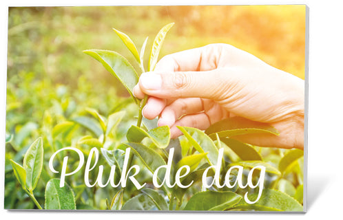 Thee in een Kaartje - Pluk de Dag