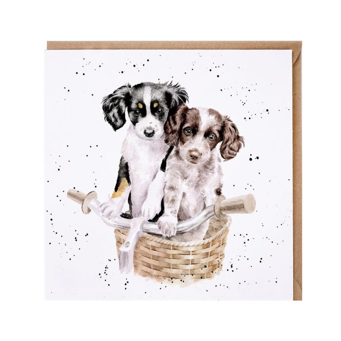 Wrendale Designs Paws and Pedals Kaart