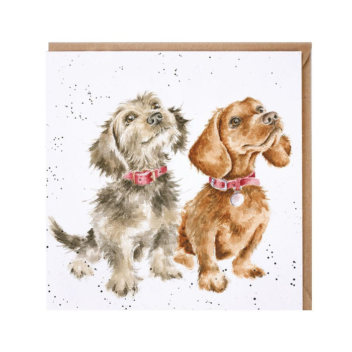 Wrendale Designs Treat Time Kaart