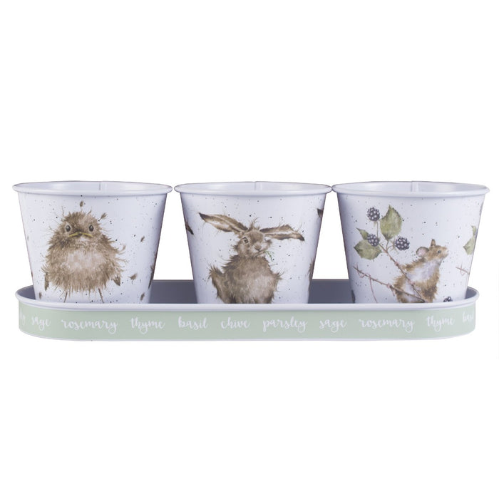 Wrendale Designs Country Animal Set van Kruidenpotten op Blad - Metaal