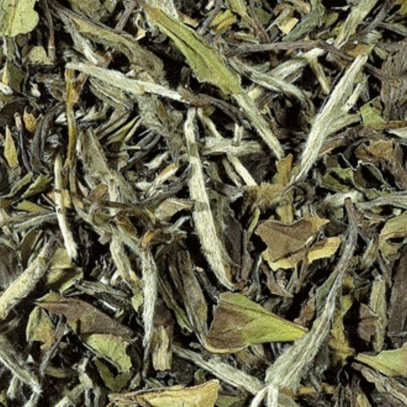 Pai Mu Tan - Witte Thee - China - 100 gram