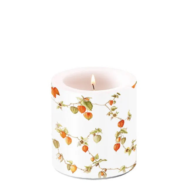 Ambiente Lampion Kaars - Klein - Paraffine - Ø 9 cm