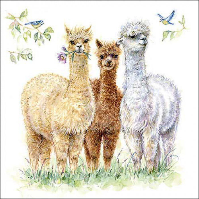 Ambiente Alpaca Friends Servetten - 33 cm x 33 cm