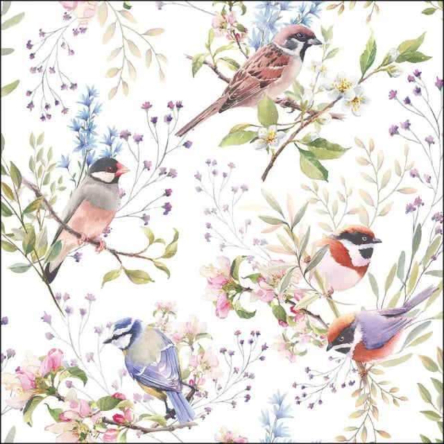 Ambiente Busy Birds Servetten - 33 cm x 33 cm