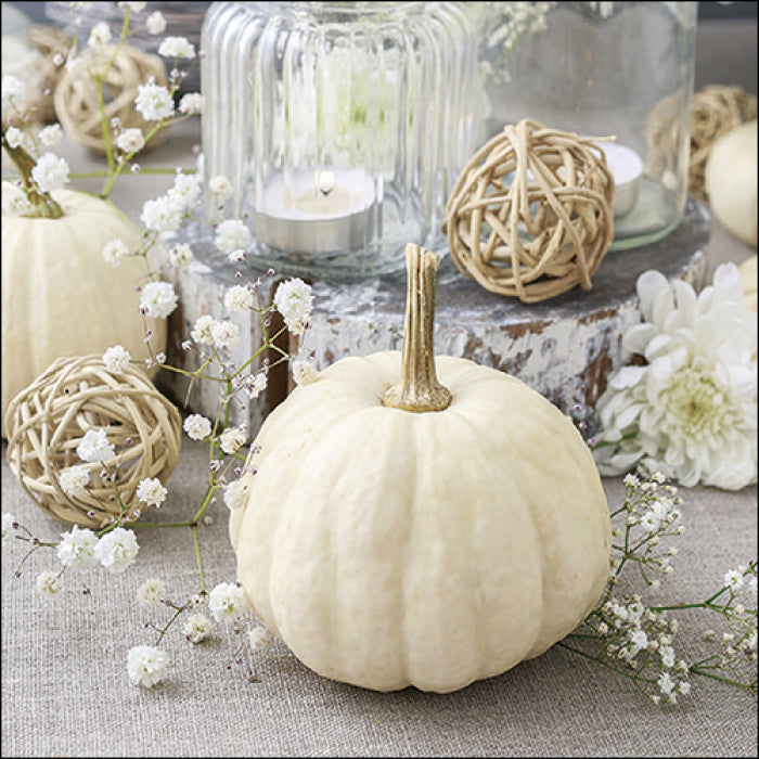 Ambiente Modern Pumpkins  Servetten - 25 cm x 25 cm