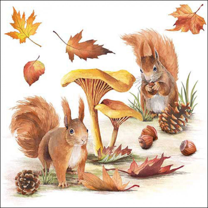 Ambiente Squirrels go Nuts Servetten - 33 cm x 33 cm