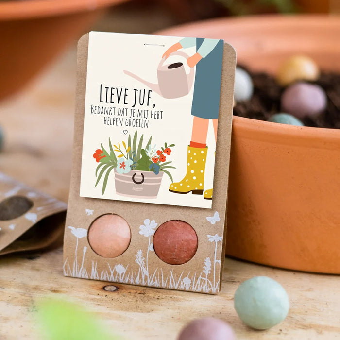 Blossombs Weggeefcadeautje met 2 Bloembommetjes - Lieve Juf