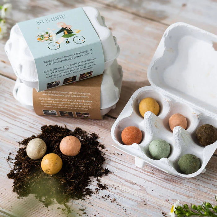 Blossombs Giftbox Eierdoos met 6 Bloembommetjes - Het is Lente