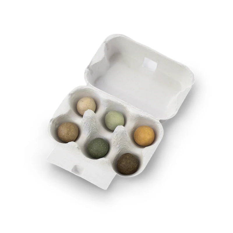 Blossombs Giftbox Eierdoos met 6 Bloembommetjes - Het is Lente