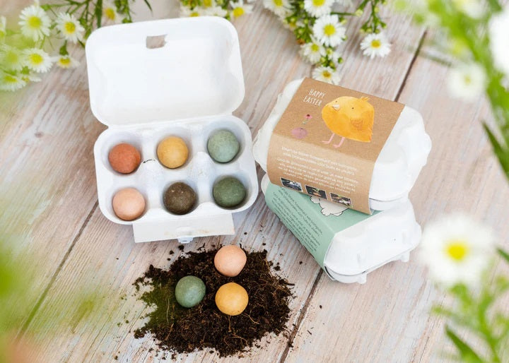 Blossombs Giftbox Eierdoos met 6 Bloembommetjes - Kuiken