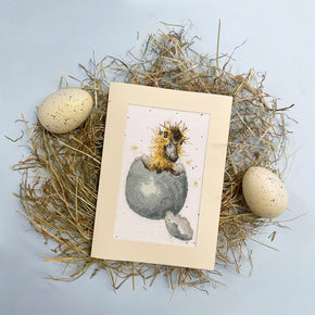 Wrendale Designs Peek a Boo Borduurpakket - 10 cm x 16 cm