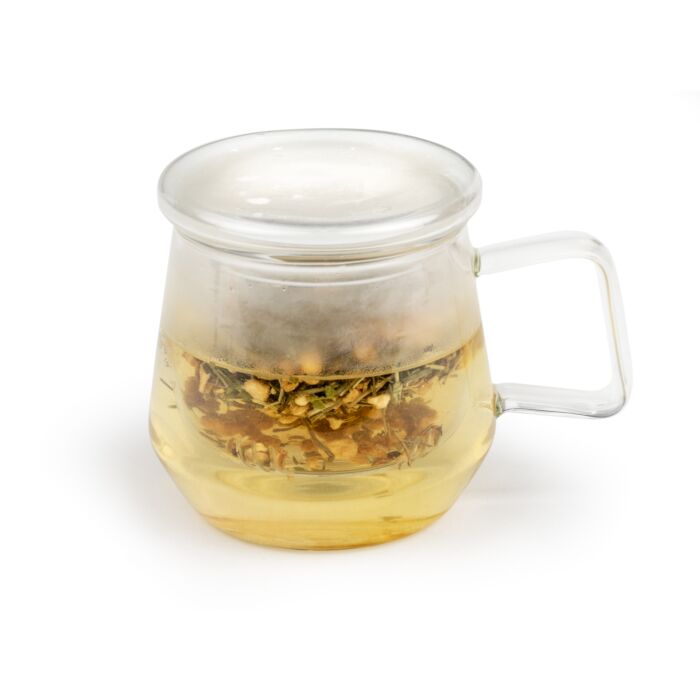 Bredemeijer Livorno Tea for One Glas - Borosilicaatglas - 290 ml