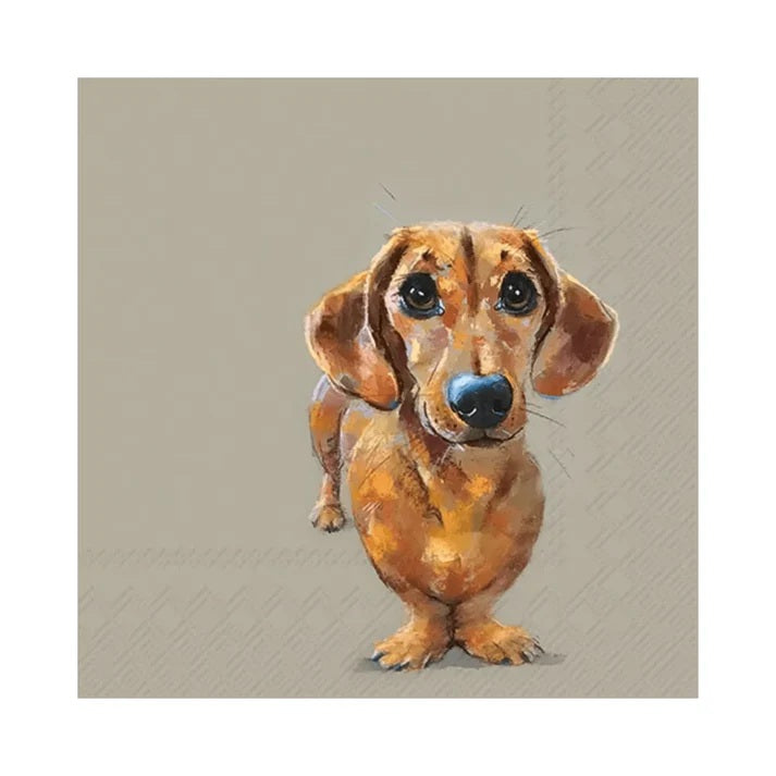 IHR Buddy Servetten - 33 cm x 33 cm