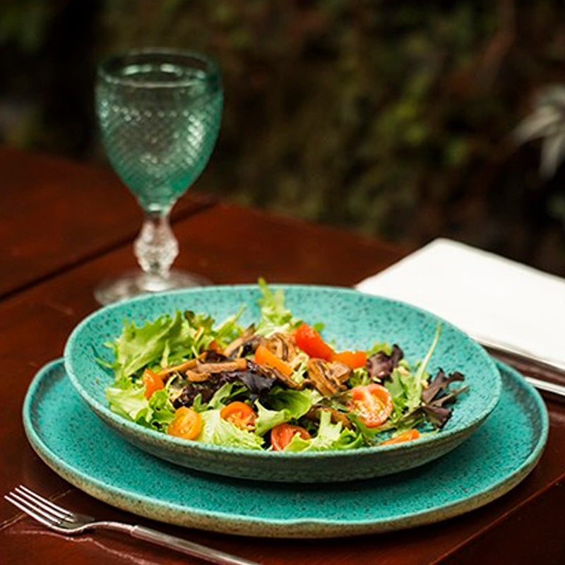 Vista Alegre Sauvage - Beker - Groen - Aardewerk - 340 ml