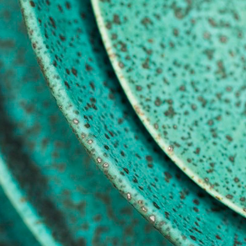 Vista Alegre Sauvage - Dinerbord - Groen - Ø 28 cm - Aardewerk