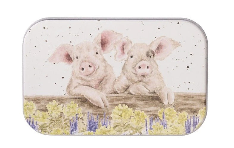 Wrendale Designs Nosy Neigh-Boars Blikje - Metaal - 9,5 cm x 6 cm