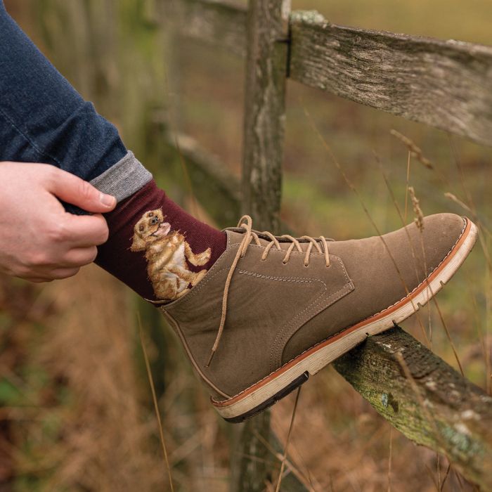 Wrendale Designs Good as Gold Herensokken