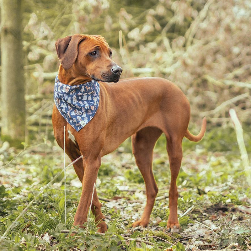 Wrendale Designs Honden Bandana - M/L - Polyester