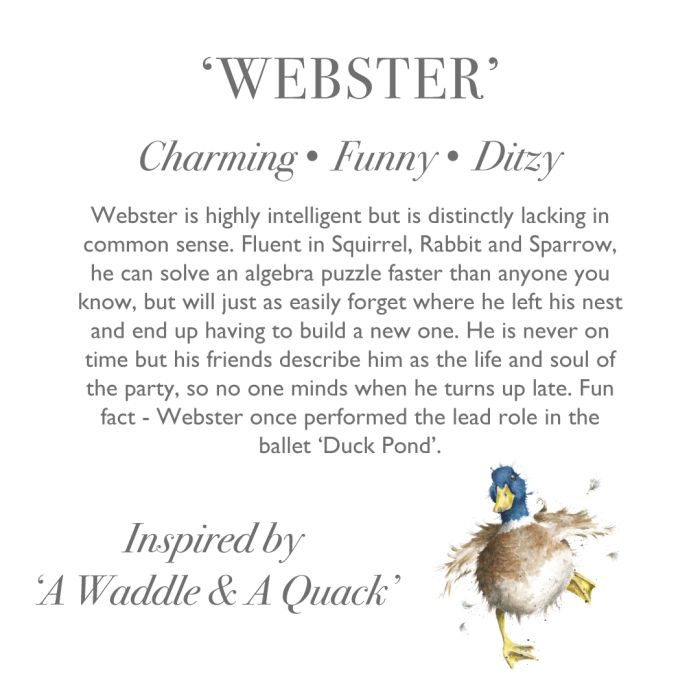 Wrendale Designs Webster  Pluche Dier - Eend