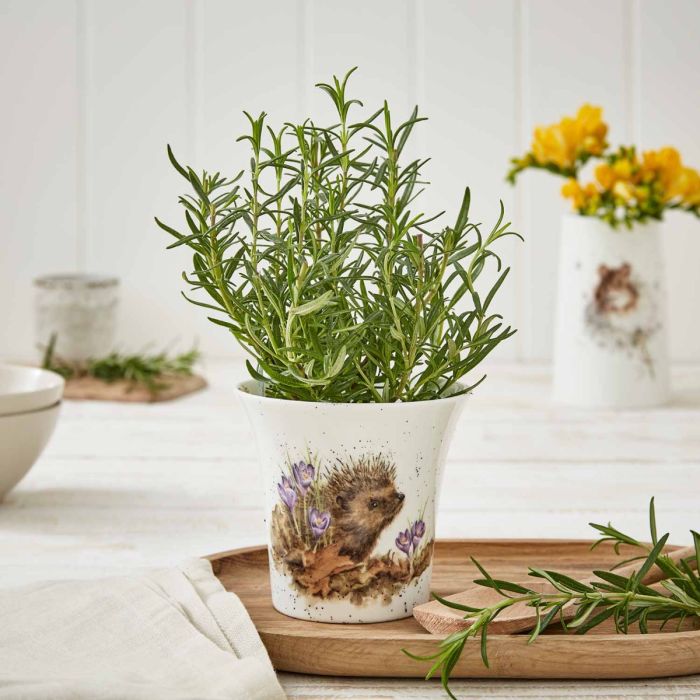 Wrendale Designs New Beginnings Kruidenpot - Egel - Porselein - 10 cm