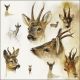 Ambiente Portraits Of Deer Papieren Servetten - 33 cm x 33 cm