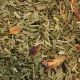Butterfly Pea Flower Lemongrass - Kruidenthee - Amba Estate - Sri Lanka - 50 gram