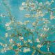 Ambiente Almond Blossom Servetten - 33 cm x 33 cm