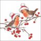 Ambiente Christmas Robins White  Servetten - 33 cm x 33 cm