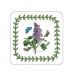 Pimpernel Botanic Garden Onderzetter - 10,5 cm x 10,5 cm