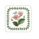 Pimpernel Exotic Botanic Garden Onderzetter - 10,5 cm x 10,5 cm
