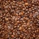 Forest Coffee - Koffie - Bonen of Vers Gemalen - 250 gram 