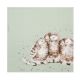 Wrendale Designs Owl Together Papieren Servetten - 33 cm x 33 cm